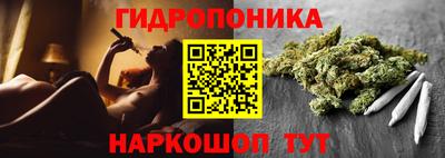 ECSTASY Новодвинск