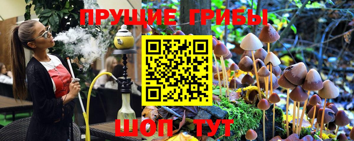 Галлюциногенные грибы Psilocybe  Псилоцибиновые грибы Cubensis  Вход с VPN  Тихвин 